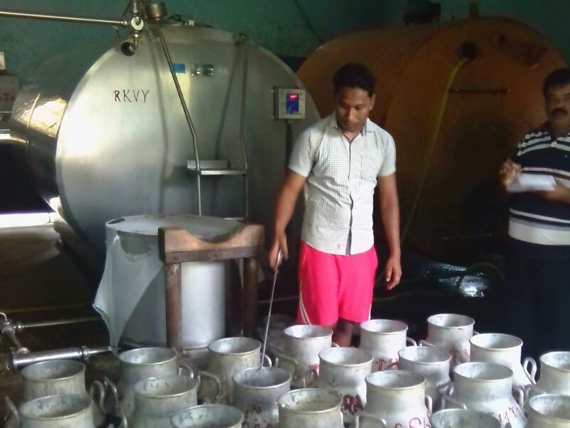 milk chilling3 e1505124152173
