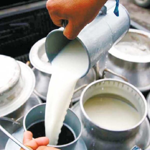 milk-dery_KXd4S9K05B milk-dery_KXd4S9K05B